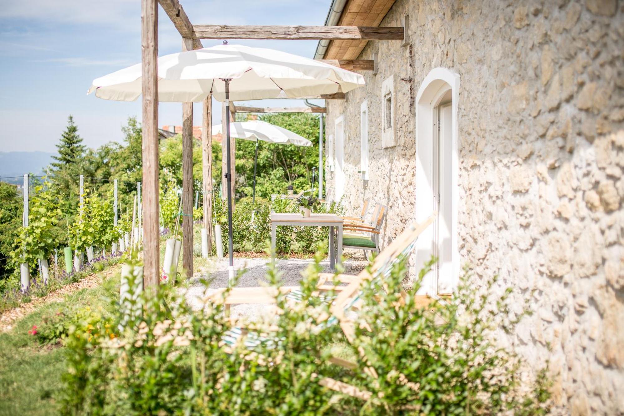 הוילה Berghausen Winzarei, Weingut Tement חדר תמונה