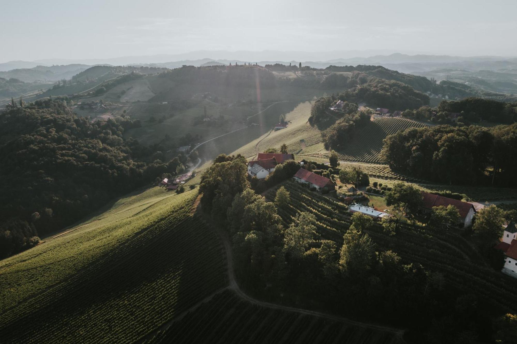 הוילה Berghausen Winzarei, Weingut Tement מראה חיצוני תמונה